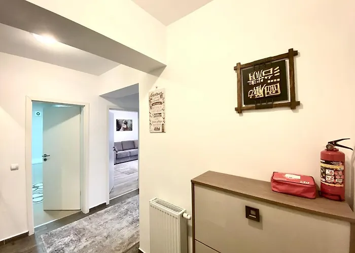 Daria's 公寓 布拉索夫