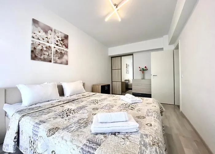 Daria's 布拉索夫